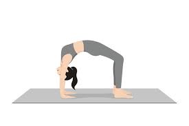 Chakrasana