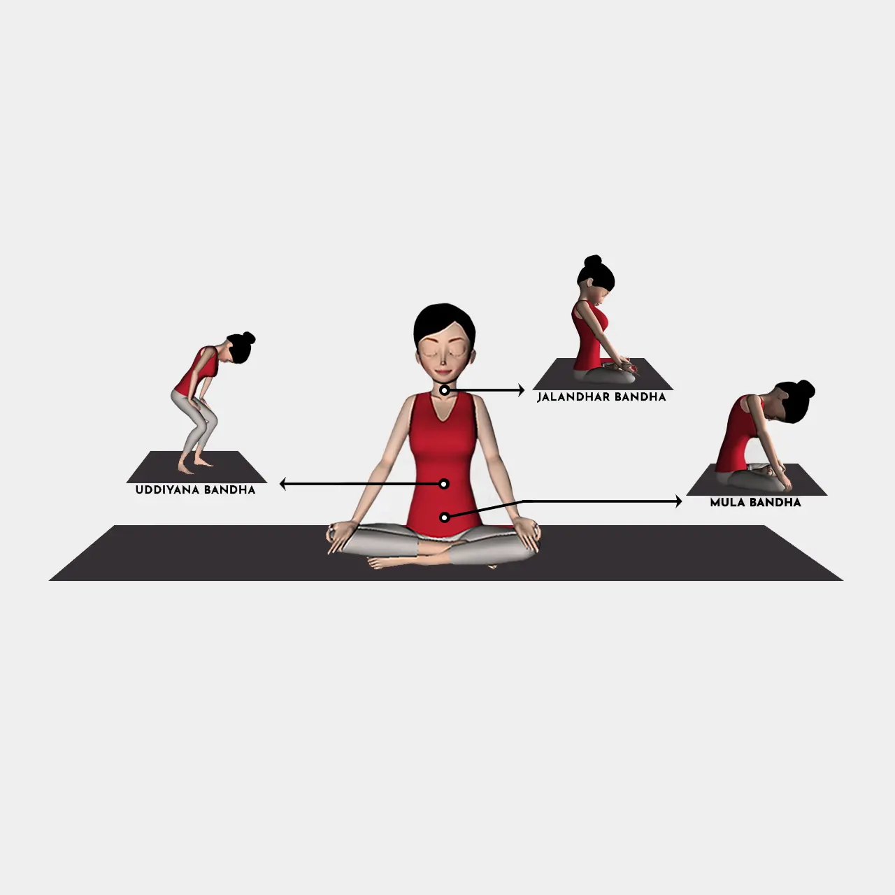 Bandha yoga shreyasyoga